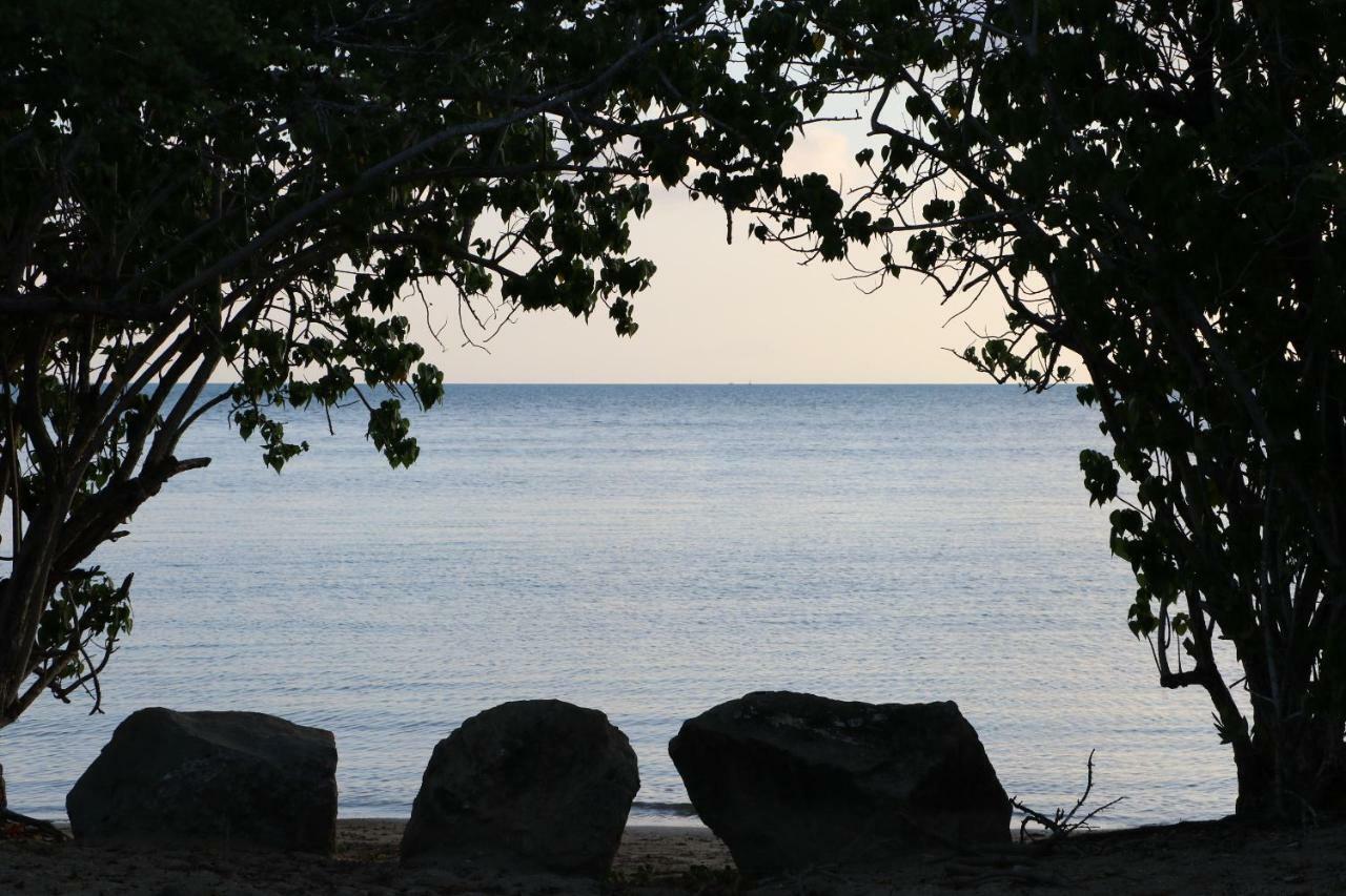 Caguax 206 Lejlighed Cabo Rojo Eksteriør billede